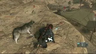 This tactic reveals how to take down 5 men in under a minute! Tactical Takedown  #shorts #snake