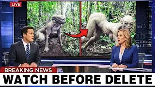 Camera Caught TERRIFYING Creatures in the Woods — What Appears at the End Will SHOCK You
