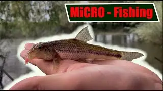 Micro-Fishing! - Multi Species Video&hellip;