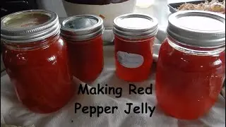 Making Red Pepper Jelly