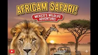 Africam Safari near Puebla, Mexico