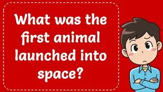 What Was First Animal Launched into Space? Explained