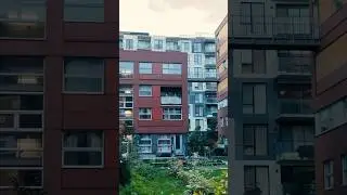 Griffintown booming neighborhood #viralvideo #travel #montreal