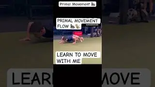 Primal flow. Learn to move & improve mobility