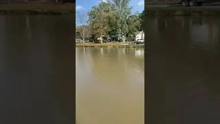 Maple Lake Dredging Dino6