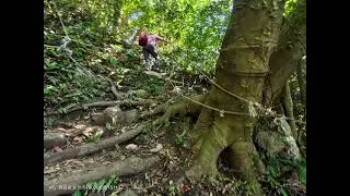 健走趣觀音山漫遊：開山凌雲寺➡️龍女岩（花瓶岩）➡️二尖（凌雲尖）➡️盤絲二尖➡️盤絲一尖➡️善財岩➡️開山凌雲寺