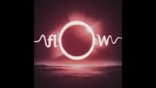 THE FLOW - HAVE YOU SEEN IT - COVER REGGIE BANNISTER