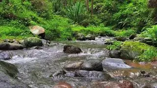 Deep Calm River – 10 Hours of ASMR for Focus, Anxiety & Stress Recovery