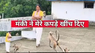 Good morning 🌄 आज तो हद हो गई 😆आज तो बहुत तंग कर दिया इस बंदर ने मुझे 🐒#vlog #monkey #animals