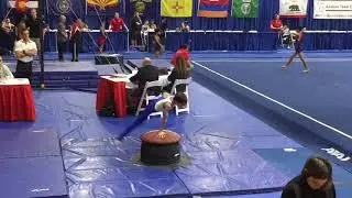 2018 Tristan Tebbets on Pommel Horse at Azarian Team Cup