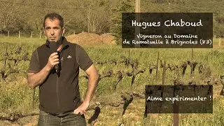 Des couverts pour protéger les vignes du gel ?