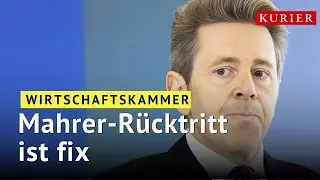 Wirtschaftskammer: Harald Mahrer vor R&uuml;cktritt