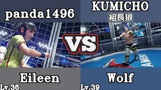 VF5REVO アイリーン Eileen panda1496 VS ウルフ Wolf 組長狼