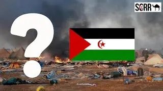 Why is resistance in Occupied Western Sahara sleeping?