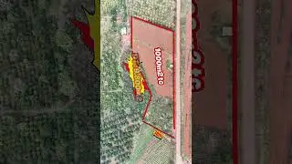 DT 9.800m2, 155*60m, C&oacute; 1.000m2 TC, Đ&atilde; T&aacute;ch 4Sổ. Tuy Đức-L&acirc;m Đồng. #bdslamdong #nguoirungbds