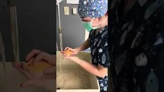 Performing a pre surgical hand scrub  