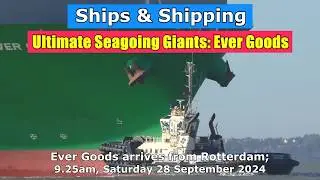 Ultimate Seagoing Giants: Ever Goods arrives from Rotterdam, Saturday 28 September 2024