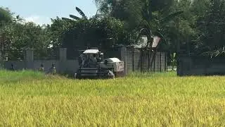 LongPing 937 123DAT