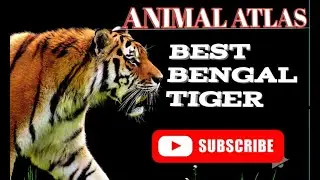 //Animal Atlas Related//  Best Animals Atlas In The World ...animals atlas//animals atlas