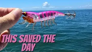 WHY YOU SHOULD ALWAYS CARRY A SQUID JIG - Fishing Moreton Bay.