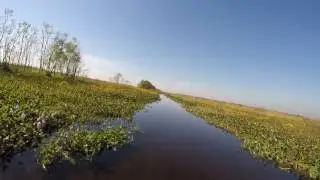 Ultimate Swamp Adventures