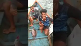 कोकणातील खोल समुद्रातील मासेमारी | TakvaD FishinG In a Boat | Devgad Fishing