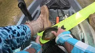 Kayak fishing! Sunfish on spawning beds!