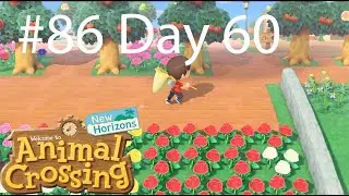Animal Crossing New Horizons Part 86: That Firefly
