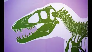 A Day at the Museum