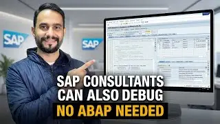 Debug in SAP for Functional Consultants | Find errors without being ABAP