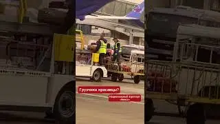 ✈️ Турагент пожаловалась на &laquo;жесткое обращение&raquo; с багажом в аэропорту Минск