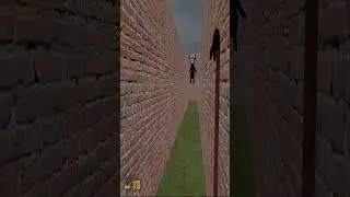 Cartoon dogs Nextbot in the maze Gmod