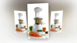 akhir Omega VRT330 Dual Stage Vertical Single Auger Low Speed Juicer, White