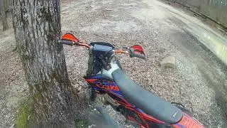 S tree Trail 2-24-2023