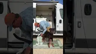 How We Keep Our Van Clean While Beach Camping #vanlife