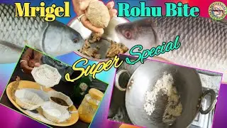 A Super Special Bite Rohu And Mrigal Machli Ke Liye ✅️ Hook Fishing And jhuppi / jhumka Fishing