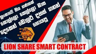 Lion Share ඇමරිකානු Smart Contract එක | Lion Share American Smart Contract Review