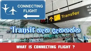 Transit Flight Details in Sinhala 🇱🇰 Connecting Flight එකක් ගැන දැනුවත්ද?