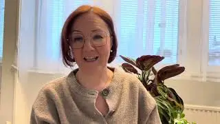 Miten minusta tuli ty&ouml;yhteis&ouml;sovittelija & Mappikeissi