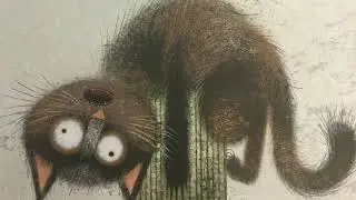 Cat Problems