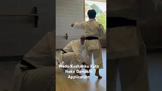 Wado Kushanku Kata Neko Damashi Application. #wadokarate #kushanku #nekodamashi #karate