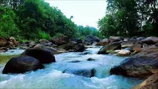 Tranquil River Sounds for Meditation and Focus &ndash; 12H Flow