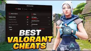 I Used VALORANT CHEATS To Dominate High Elo Lobbies