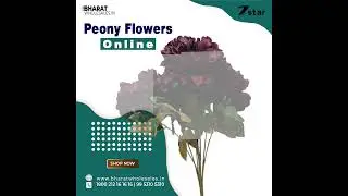 Shop Peony Flowers Online at Wholesale Price in India