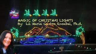 Castro Rosabal with Magic Christmas Lights