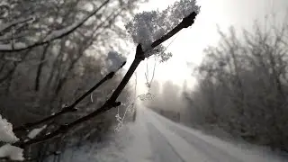moja oaza spokoju i energii zimą, śnieżna wioska, mglisty dzień, wschodzące słońce