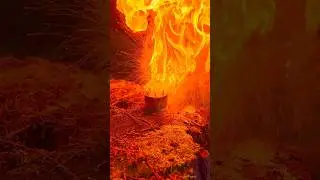 Survival Hack: Make a Super Wax Candle Stove (Gone Wrong) #survival #camping #bushcraft #lifehacks