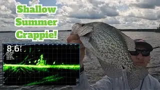 Shallow Summer Crappie Fishing - LiveScope