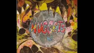 Various &ndash; Nuggets: Antipodean Interpolations Of The First Psychedelic Era AUSTRALIAN Neo Garage Rock