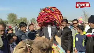 Bikaner camel festival 2026